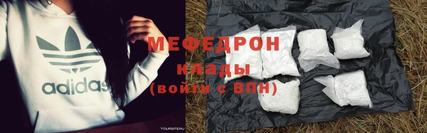 МДПВ Бородино