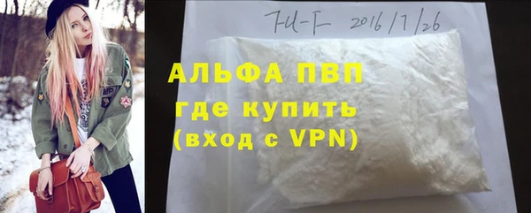 МДПВ Бородино