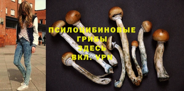 дмт Бронницы