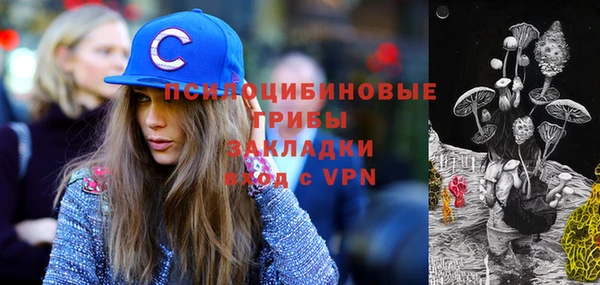 МДПВ Бородино