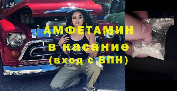 МДПВ Бородино