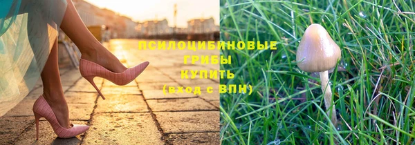 шишки Бугульма