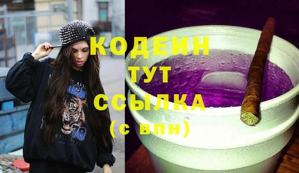 МДПВ Бородино