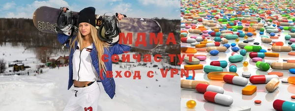 МДПВ Бородино