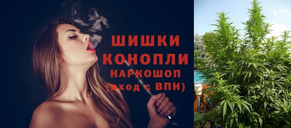 МДПВ Бородино