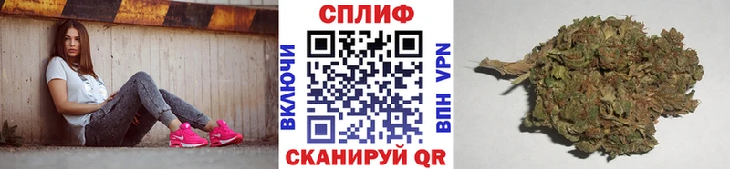 Бошки Шишки план  Купить  Пионерский 